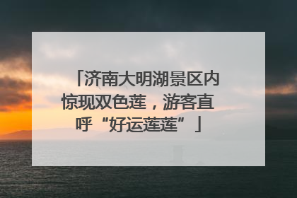 济南大明湖景区内惊现双色莲，游客直呼“好运莲莲”