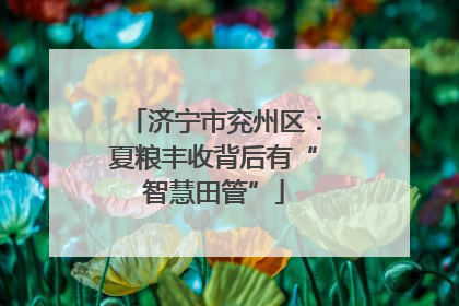 济宁市兖州区：夏粮丰收背后有“智慧田管”