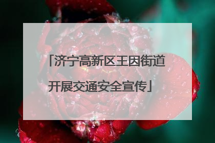 济宁高新区王因街道开展交通安全宣传