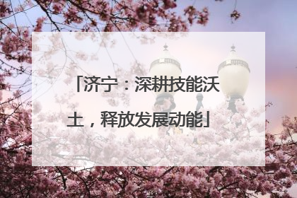 济宁：深耕技能沃土，释放发展动能