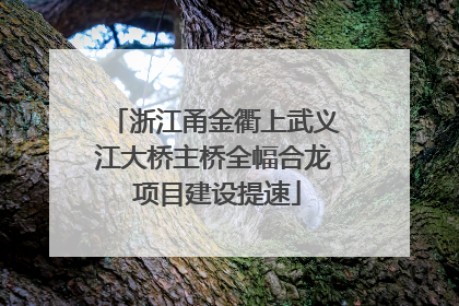 浙江甬金衢上武义江大桥主桥全幅合龙 项目建设提速
