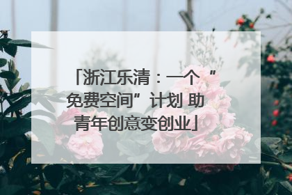 浙江乐清：一个“免费空间”计划 助青年创意变创业
