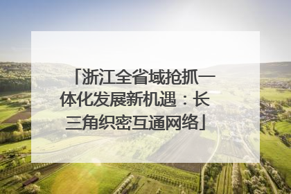 浙江全省域抢抓一体化发展新机遇：长三角织密互通网络