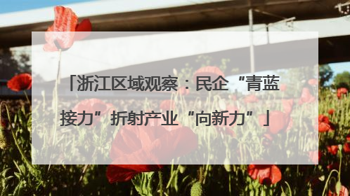 浙江区域观察：民企“青蓝接力”折射产业“向新力”