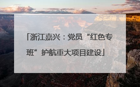 浙江嘉兴：党员“红色专班”护航重大项目建设