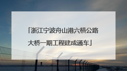浙江宁波舟山港六横公路大桥一期工程建成通车