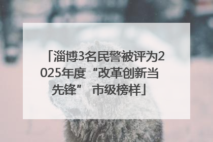 淄博3名民警被评为2025年度“改革创新当先锋” 市级榜样