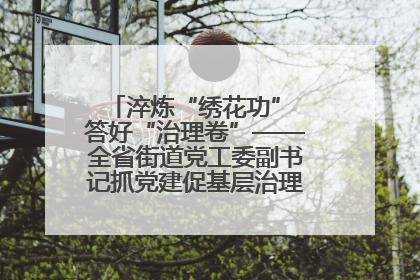 淬炼“绣花功” 答好“治理卷”——全省街道党工委副书记抓党建促基层治理培训示范班侧记