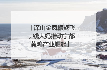 深山金凤振翅飞，钱大妈推动宁都黄鸡产业崛起