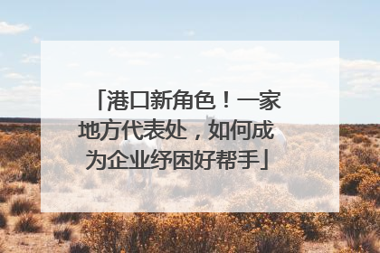 港口新角色！一家地方代表处，如何成为企业纾困好帮手