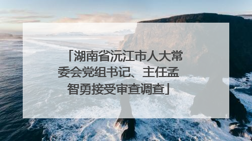 湖南省沅江市人大常委会党组书记、主任孟智勇接受审查调查
