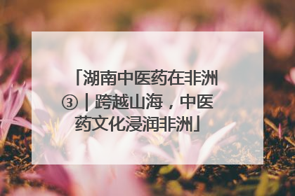 湖南中医药在非洲③｜跨越山海，中医药文化浸润非洲