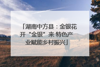 湖南中方县：金银花开“金银”来 特色产业赋能乡村振兴