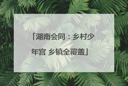 湖南会同：乡村少年宫 乡镇全覆盖