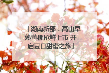 湖南新邵：高山早熟黄桃抢鲜上市 开启夏日甜蜜之旅