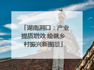 湖南洞口：产业提质增效 绘就乡村振兴新图景