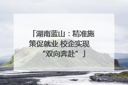 湖南蓝山：精准施策促就业 校企实现“双向奔赴”