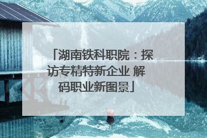 湖南铁科职院：探访专精特新企业 解码职业新图景