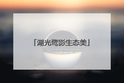 湖光鹭影生态美