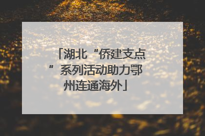 湖北“侨建支点”系列活动助力鄂州连通海外