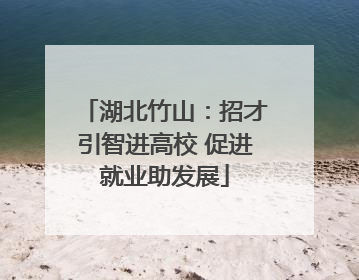 湖北竹山：招才引智进高校 促进就业助发展