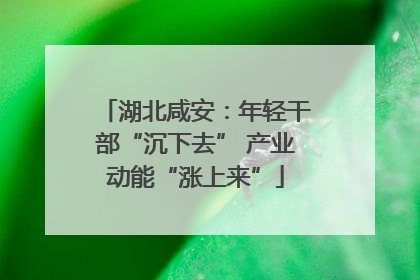 湖北咸安：年轻干部“沉下去” 产业动能“涨上来”