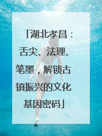 湖北孝昌：舌尖、法理、笔墨，解锁古镇振兴的文化基因密码