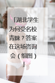 湖北学生为何受名校青睐？答案在这场咨询会（组图）