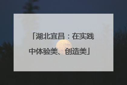 湖北宜昌：在实践中体验美、创造美