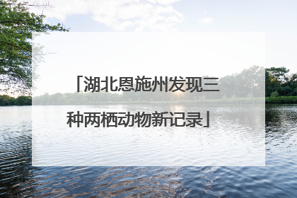 湖北恩施州发现三种两栖动物新记录