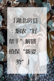 湖北房县：烟农“好帮手”解锁植保“新姿势”