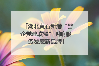 湖北黄石新港“警企党建联盟”叫响服务发展新品牌