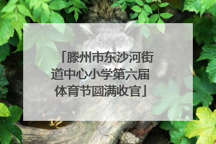 滕州市东沙河街道中心小学第六届体育节圆满收官