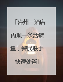 漳州一酒店内现一条活鳄鱼，警民联手快速处置
