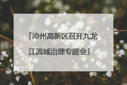 漳州高新区召开九龙江流域治理专题会
