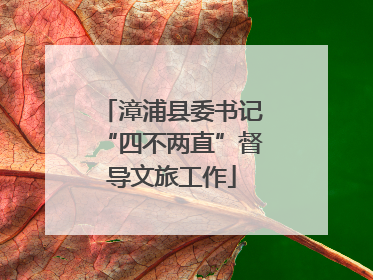 漳浦县委书记“四不两直”督导文旅工作