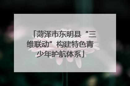菏泽市东明县“三维联动”构建特色青少年护航体系