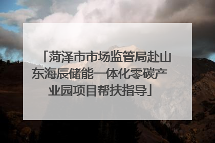 菏泽市市场监管局赴山东海辰储能一体化零碳产业园项目帮扶指导