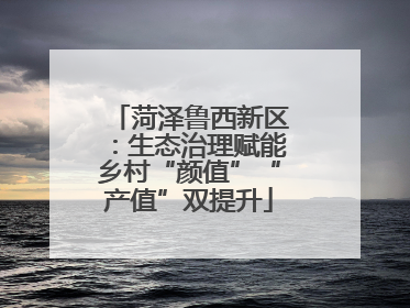 菏泽鲁西新区：生态治理赋能乡村“颜值”“产值”双提升