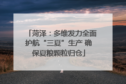 菏泽：多维发力全面护航“三夏”生产 确保夏粮颗粒归仓
