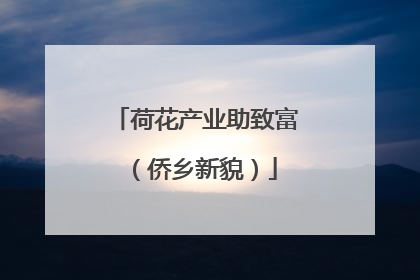 荷花产业助致富（侨乡新貌）