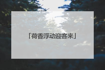荷香浮动迎客来