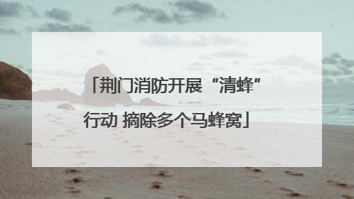 荆门消防开展“清蜂”行动 摘除多个马蜂窝