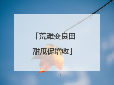 荒滩变良田 甜瓜促增收