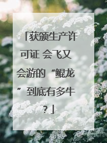 获颁生产许可证 会飞又会游的“鲲龙”到底有多牛？