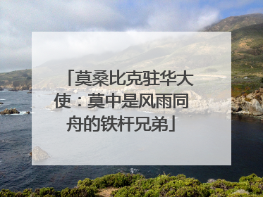 莫桑比克驻华大使：莫中是风雨同舟的铁杆兄弟