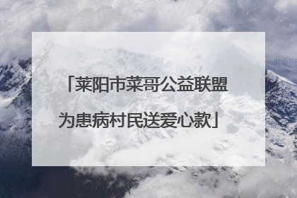 莱阳市菜哥公益联盟为患病村民送爱心款