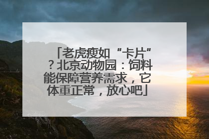 老虎瘦如“卡片”？北京动物园：饲料能保障营养需求，它体重正常，放心吧