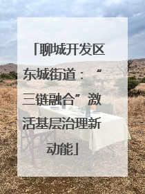 聊城开发区东城街道：“三链融合”激活基层治理新动能