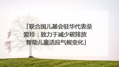 联合国儿基会驻华代表桑爱玲：致力于减少碳排放 帮助儿童适应气候变化